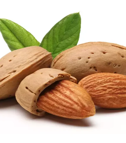 almond