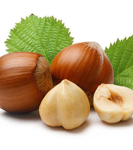 Hazelnut on white backgroud